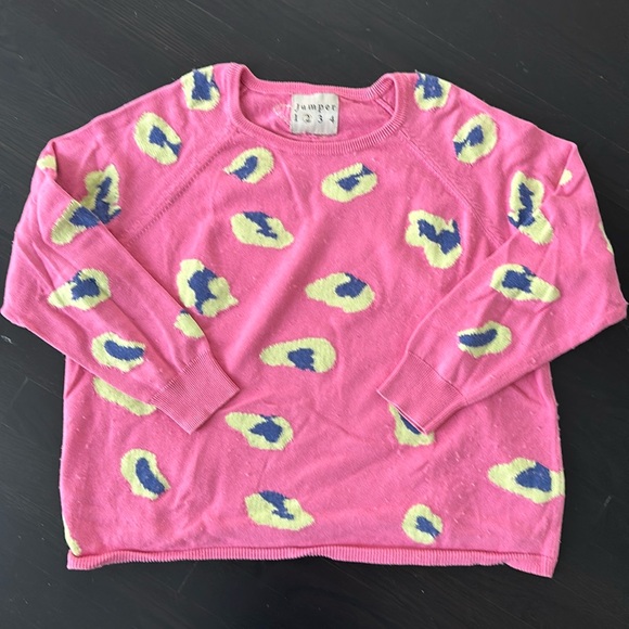 Jumper 1234 Sweaters - Jumper 1234 Pink and Blue/Yellow Animal Print-ish Sweater
